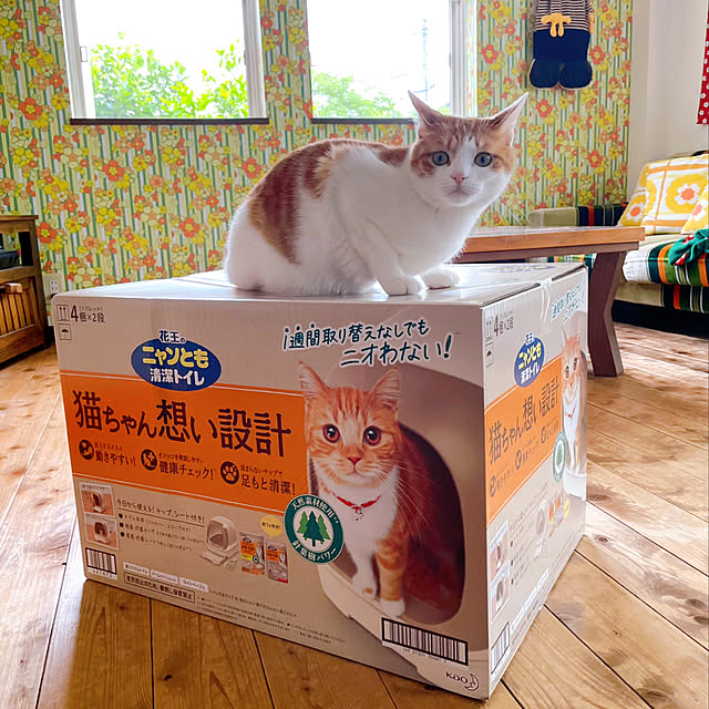 meさんの実例写真