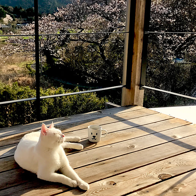 sakurasakuさんの実例写真