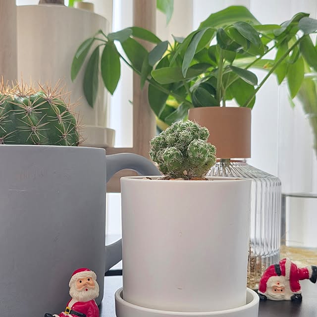 mint_greenさんの部屋