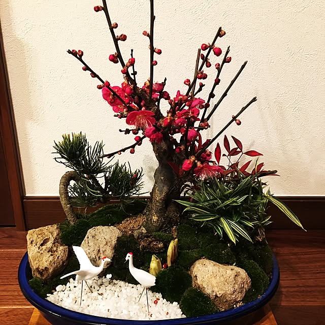 m.さんの実例写真
