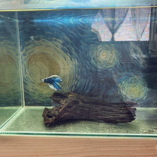 ponsukeさんの実例写真