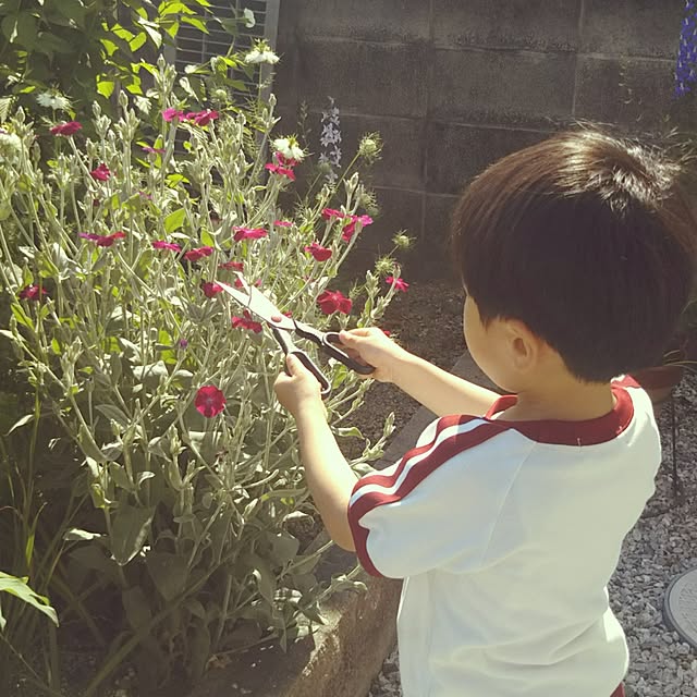 chikohiroさんの実例写真