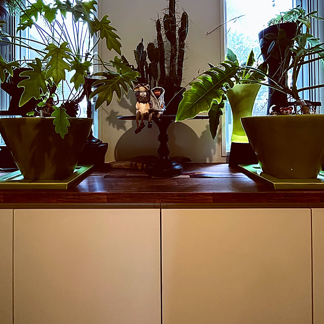 DAYONEさんの実例写真