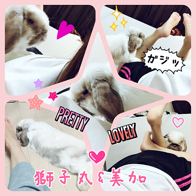 FUさんの実例写真