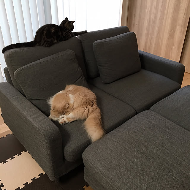 saraさんの実例写真