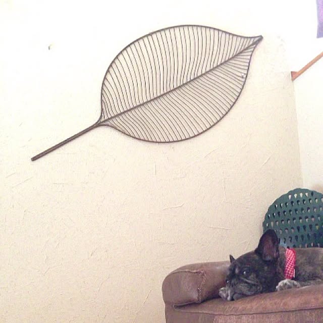 zymaさんの実例写真