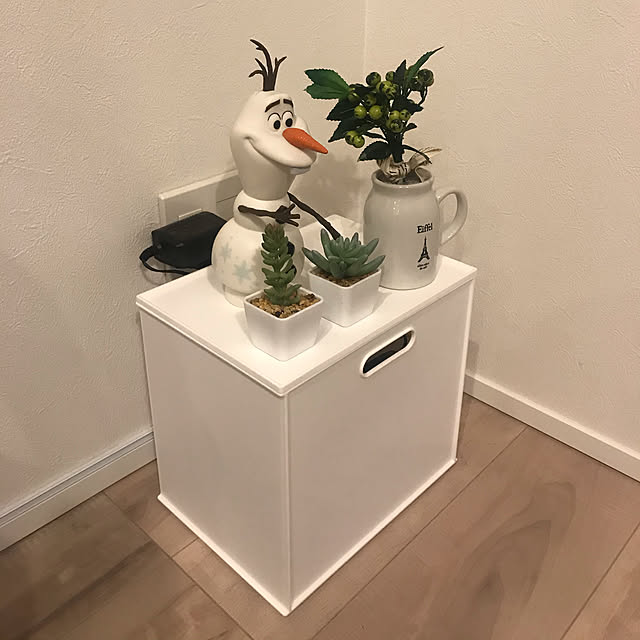 Rafflesiaさんの実例写真