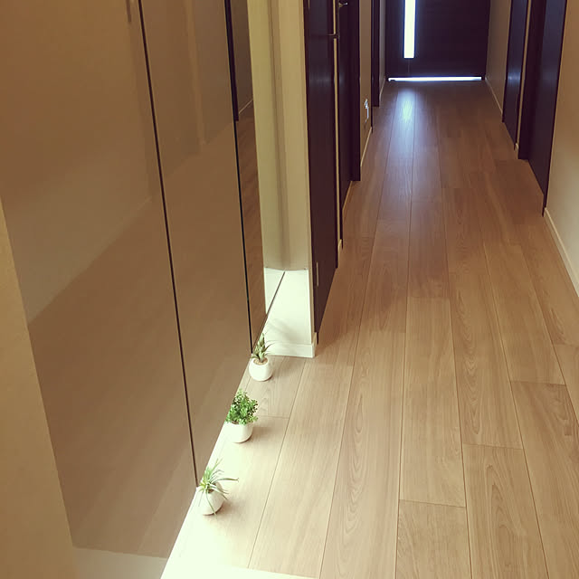 モダンリビング/観葉植物/玄関/入り口のインテリア実例 - 2019-06-22 13:42:24