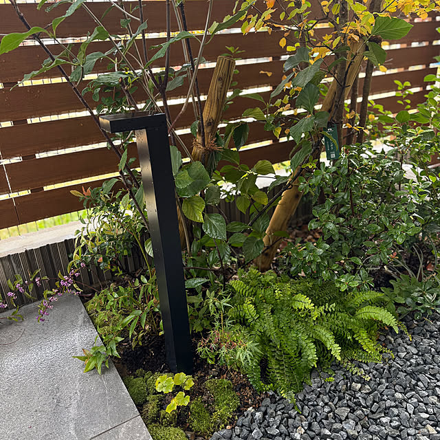 Minaさんの実例写真