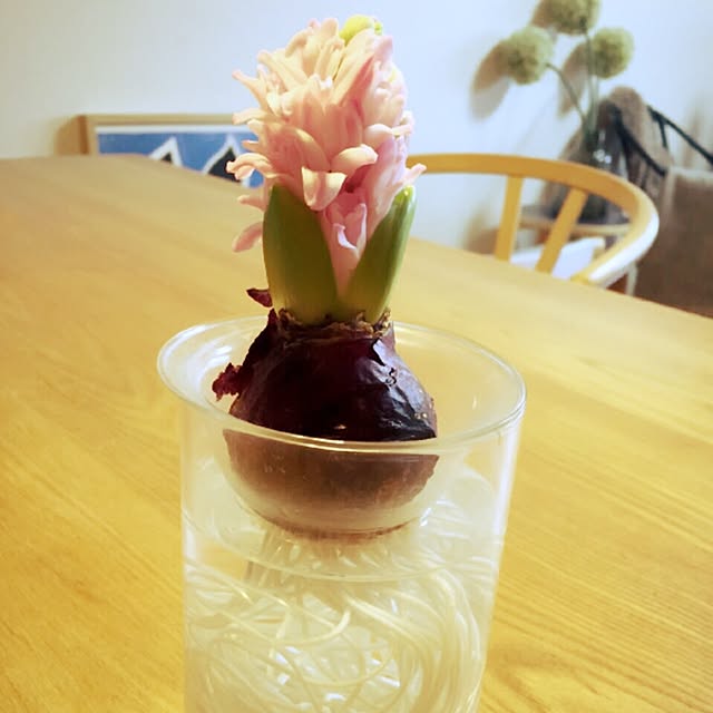 kokotaroさんの実例写真