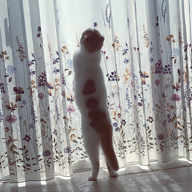 kikiさんの実例写真