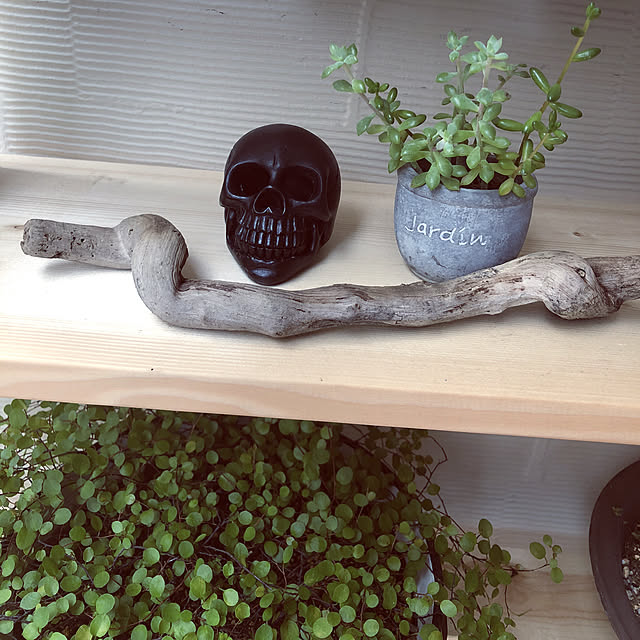 okkunさんの実例写真