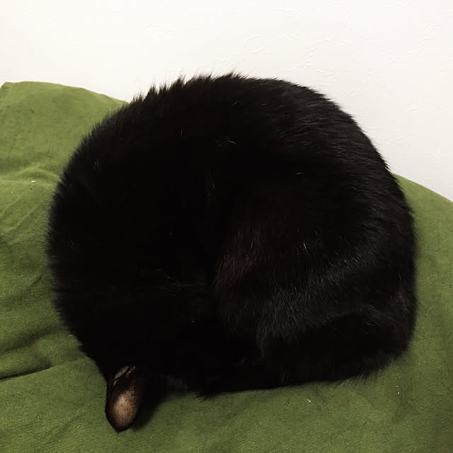 mozuさんの実例写真