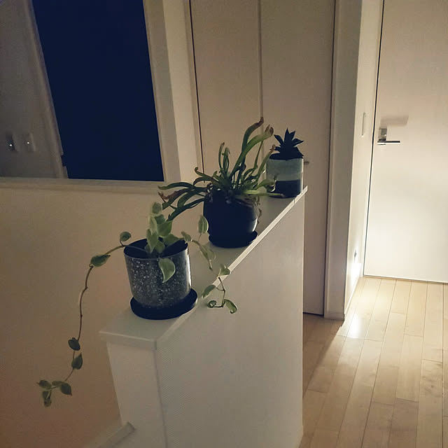 壁/天井/ホワイトインテリア/観葉植物/北欧雑貨/センサーライトのインテリア実例 - 2022-10-03 22:33:18