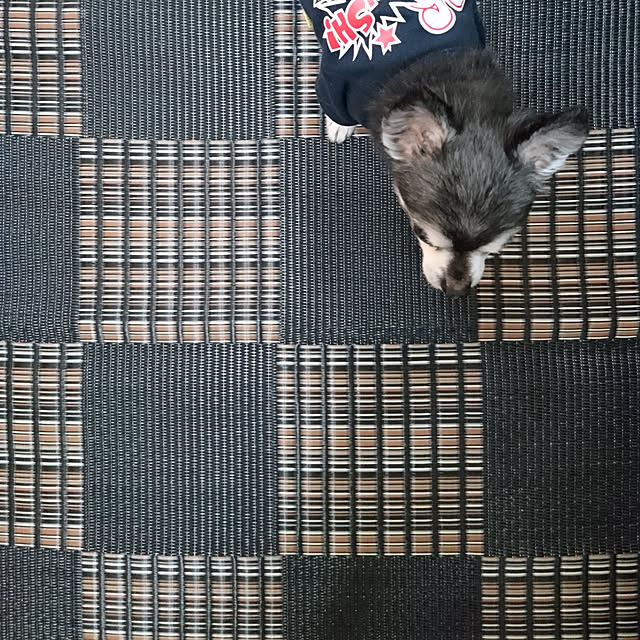lovepeaceさんの実例写真