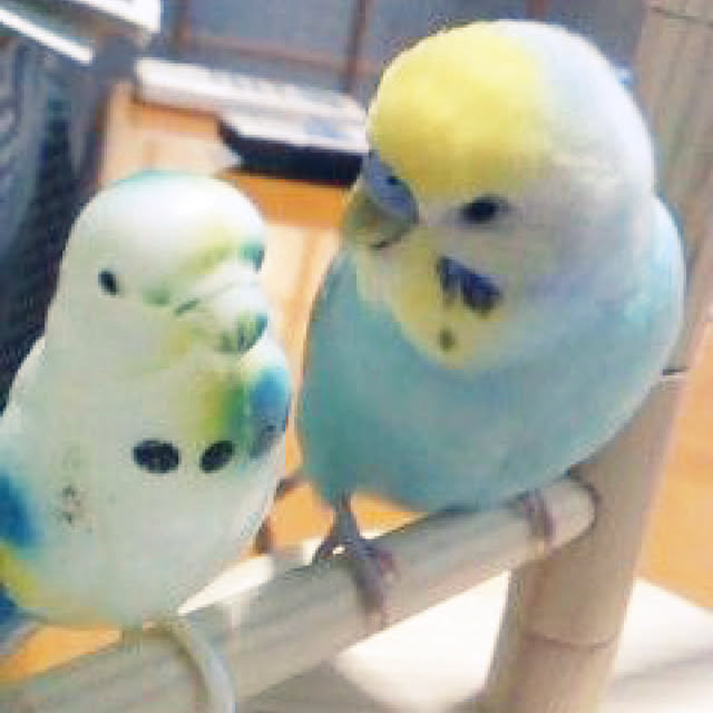 Whiteinteriaさんの実例写真