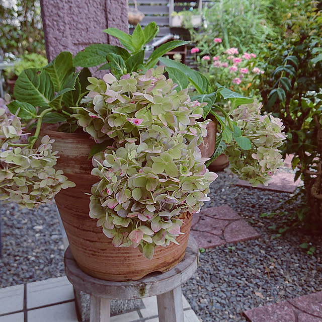 taeko0779さんの実例写真
