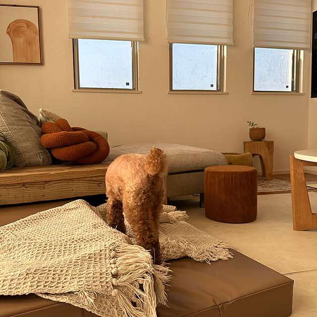 Tarutoさんの部屋