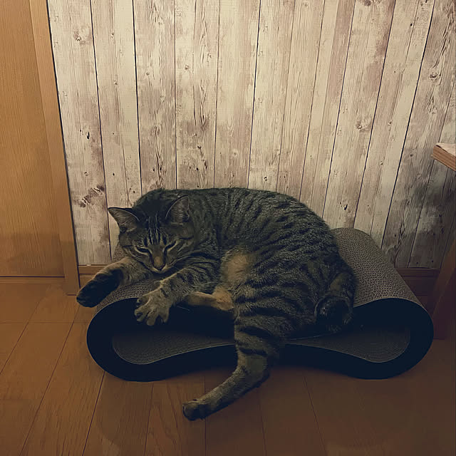 Mさんの実例写真