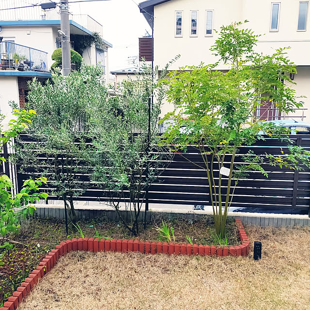 masaさんの実例写真