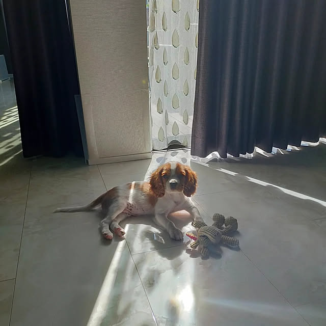 mitowaさんの実例写真