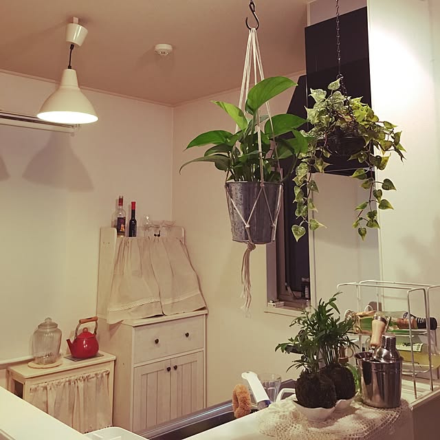 キッチン/観葉植物/ナチュラルのインテリア実例 - 2016-08-03 01:53:43