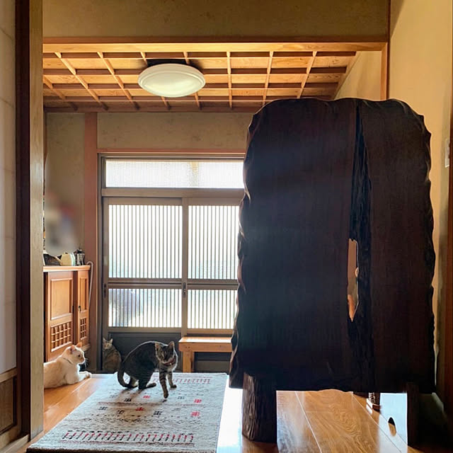mohhaさんの実例写真