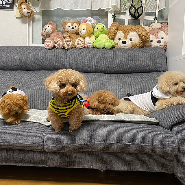 yuki89さんの部屋