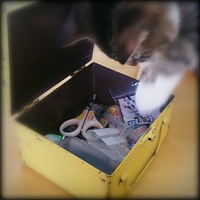 Lukiさんの実例写真