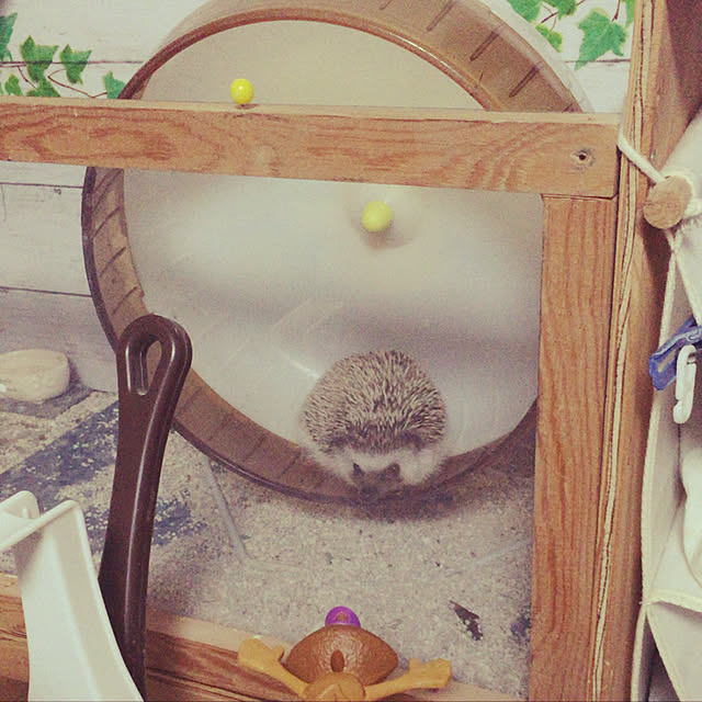 kuro_mameさんの実例写真