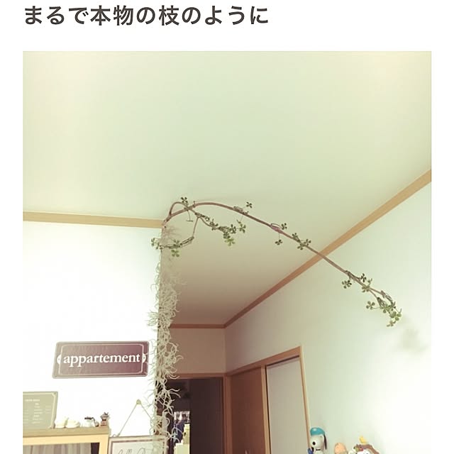 yuuさんの実例写真