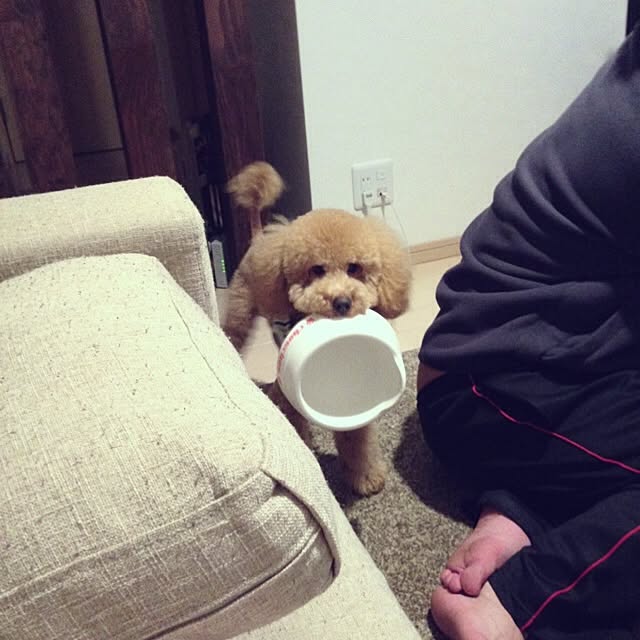 moppuさんの実例写真