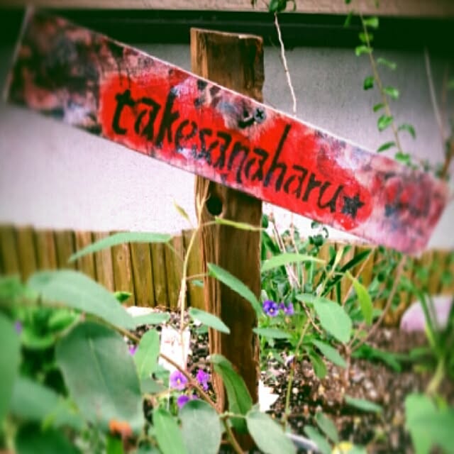 takesanaharuさんの実例写真