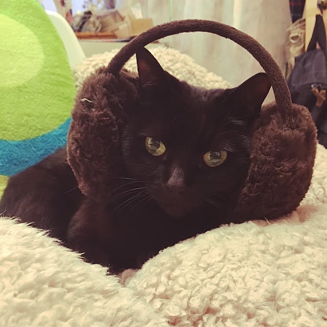 shigimiさんの実例写真