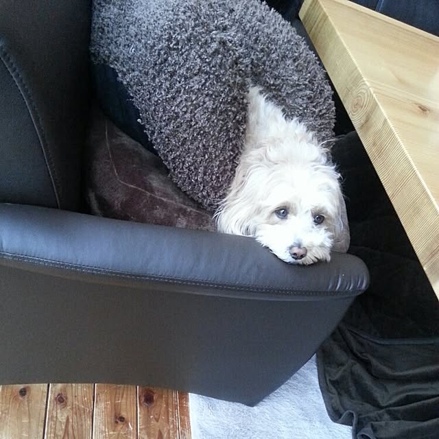makaronさんの実例写真