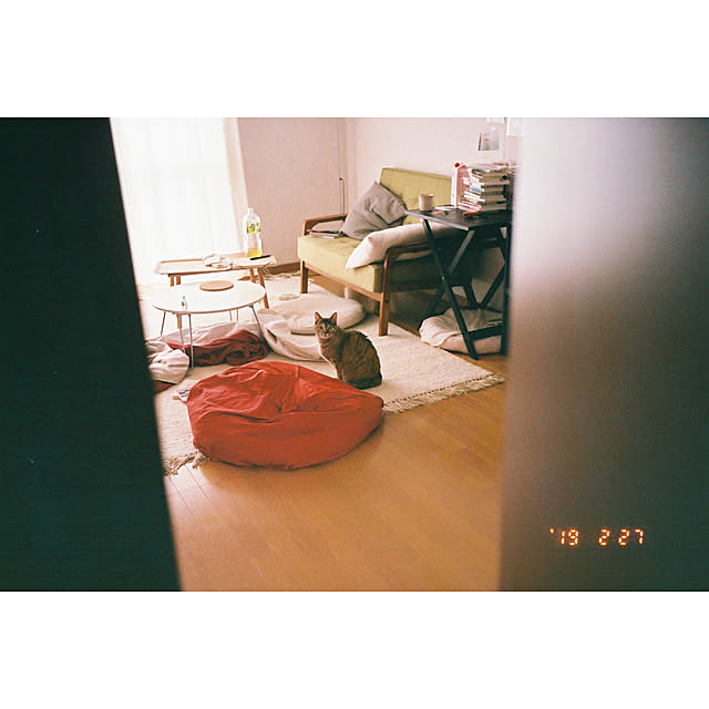実例写真