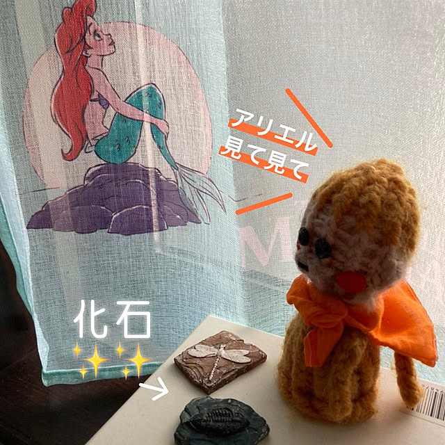 manduonmaさんの部屋
