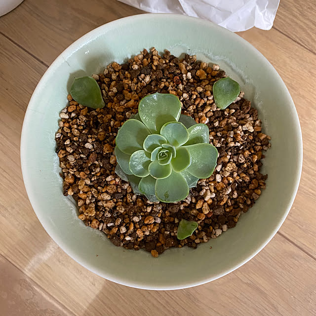 tanboさんの部屋