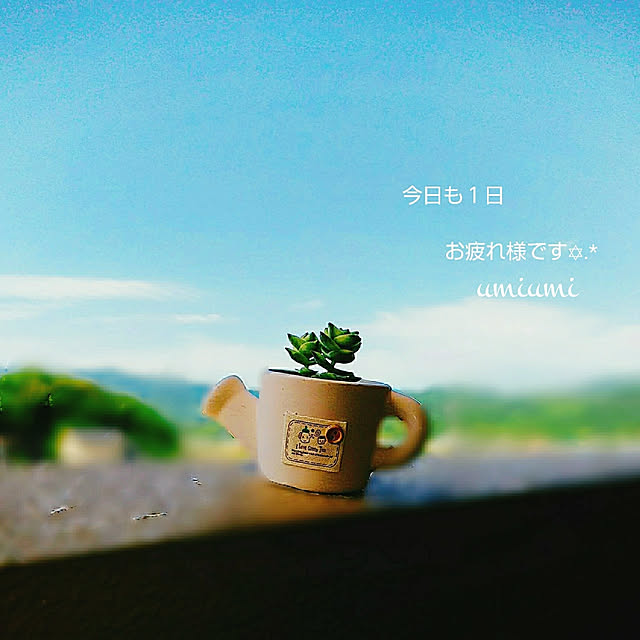 umiumiさんの実例写真
