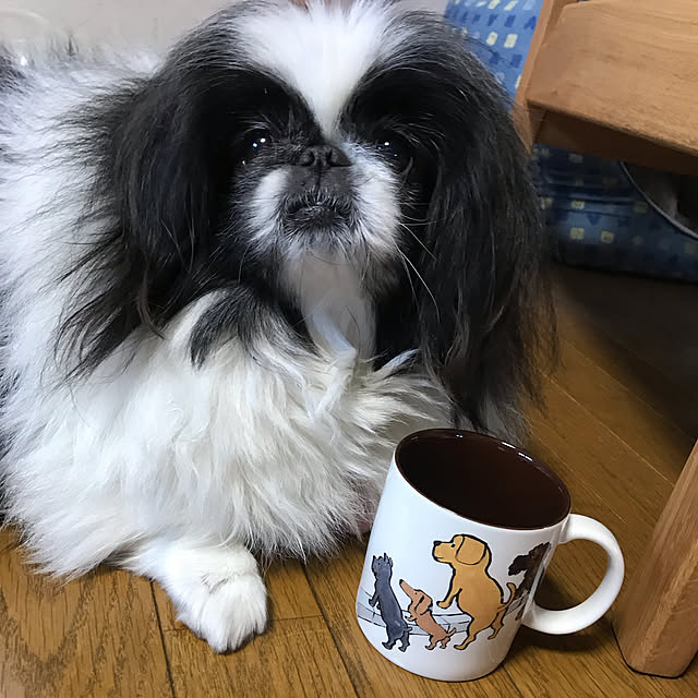 rinaさんの実例写真