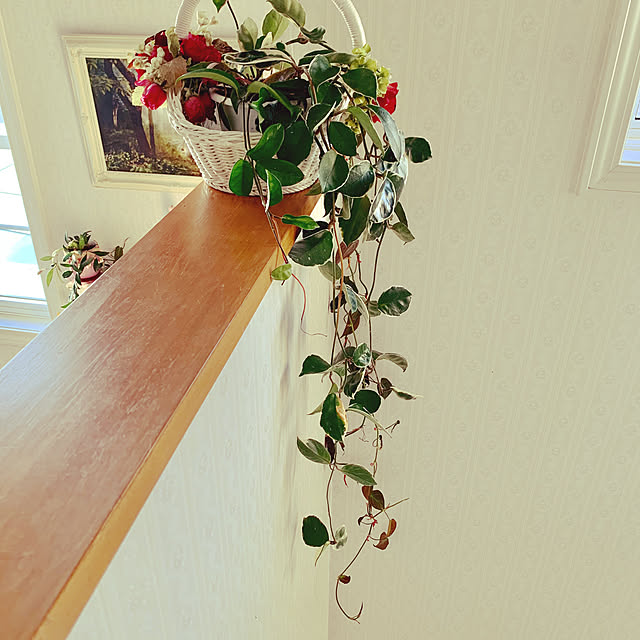 AYUKOさんの実例写真