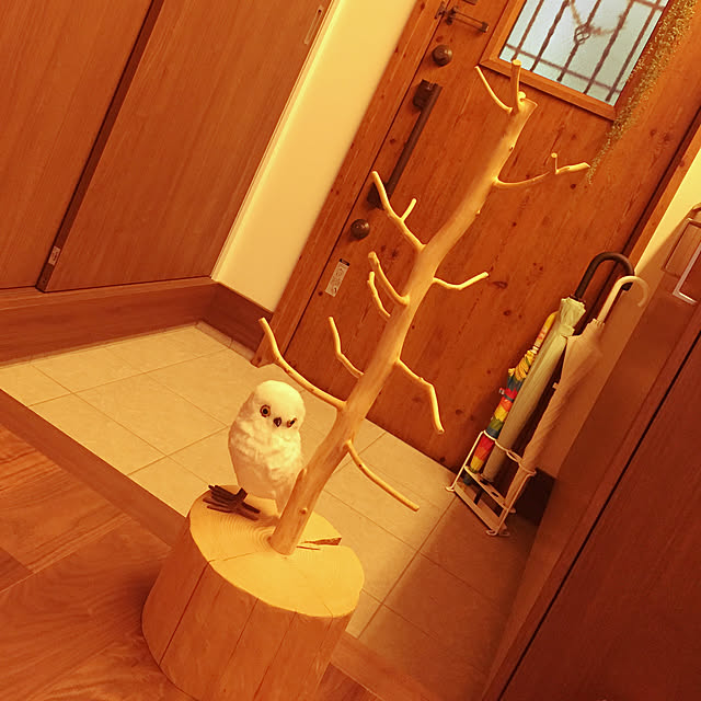 satoさんの実例写真