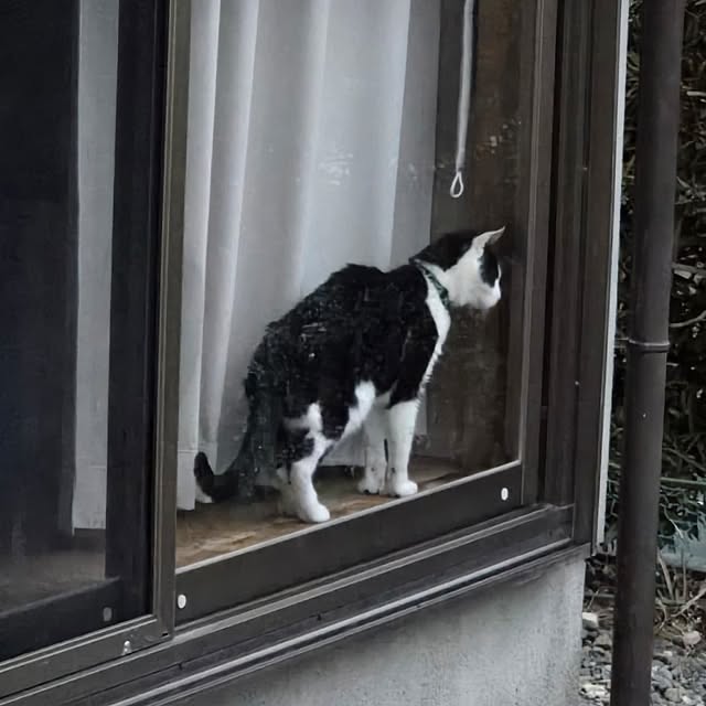 fuchan0930さんの部屋