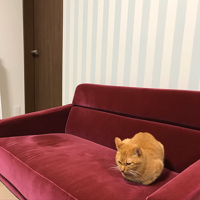 hyrs214さんの実例写真