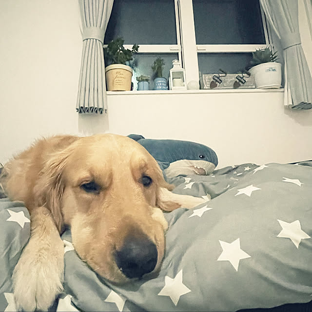 marinkoさんの実例写真
