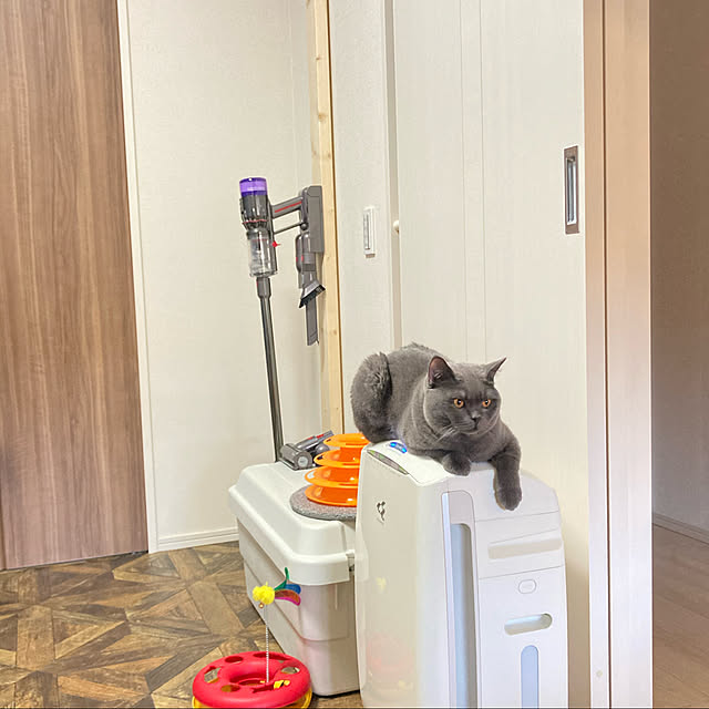m.chanさんの実例写真