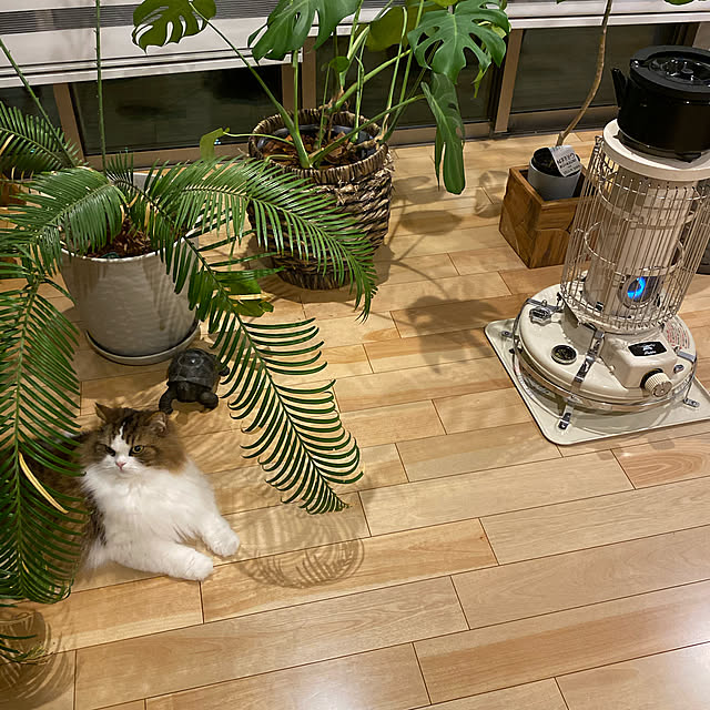 cotesanさんの実例写真