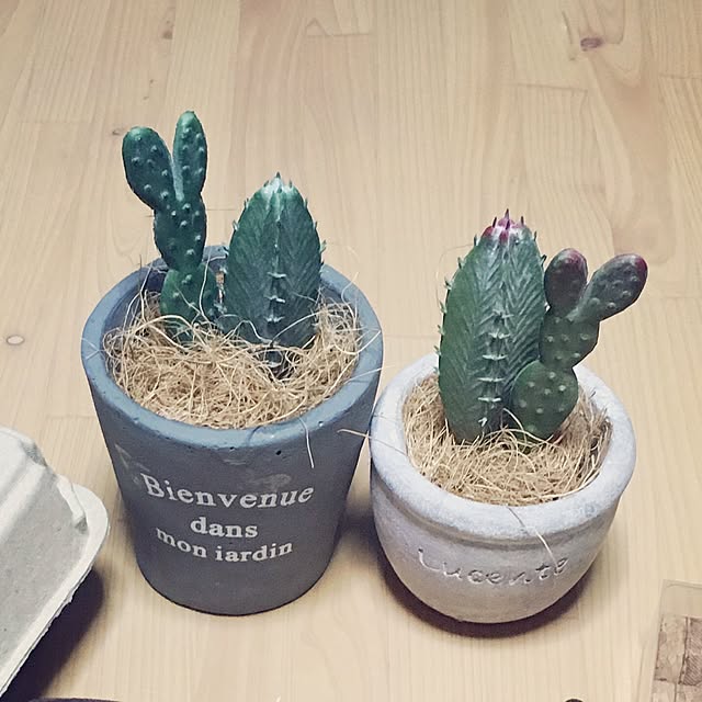 チップとデール チップ&デール プランター 植木鉢 ガーデニング チップとデール チップ&デール プランター 植木鉢 ガーデニング