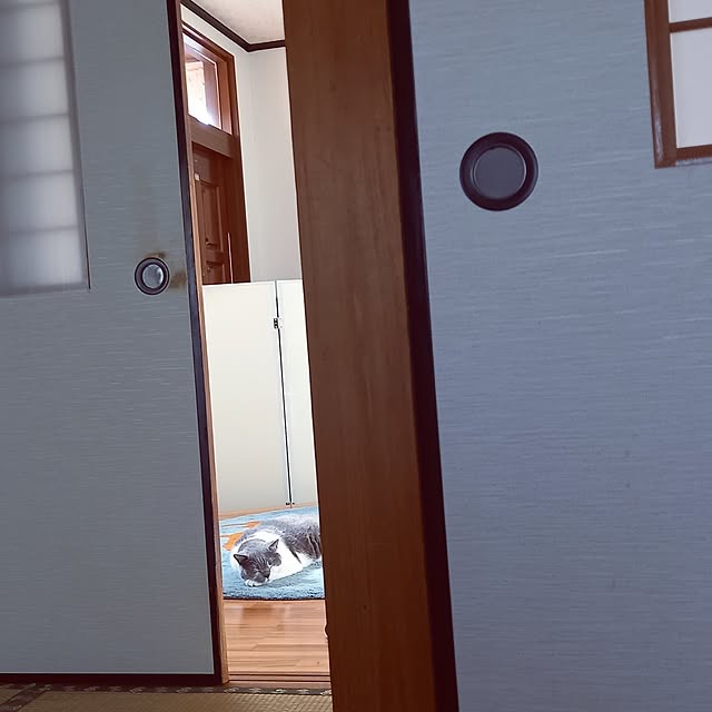 rhuさんの部屋