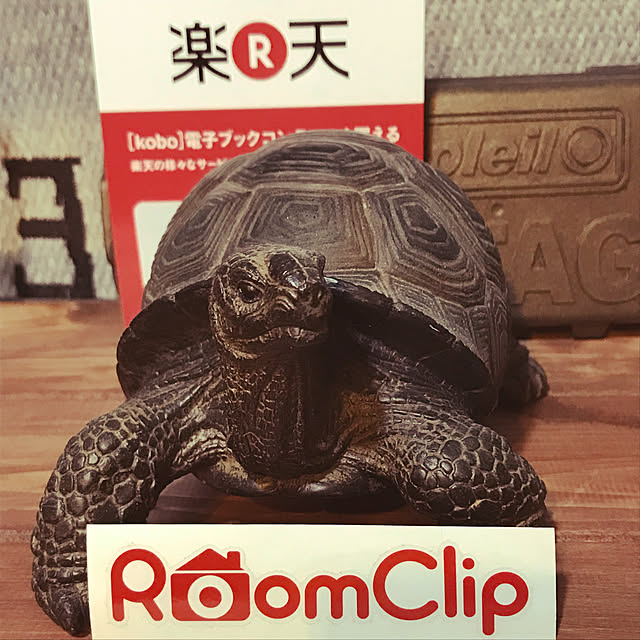 masaさんの実例写真